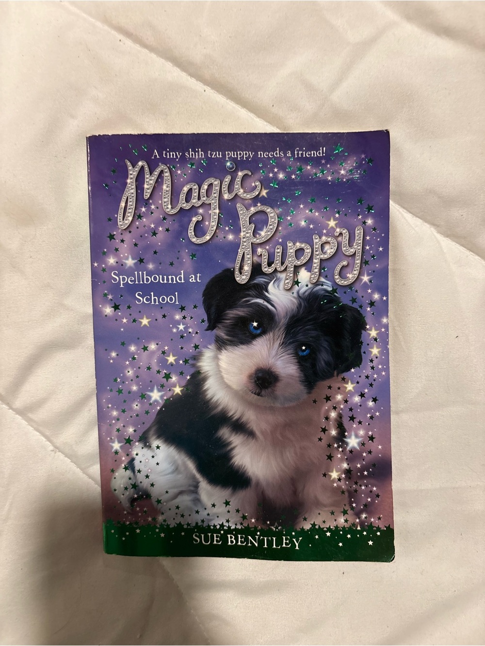 Scholastic Magic Puppy Spellbound at School – Purple Puppy Book by sue bentley